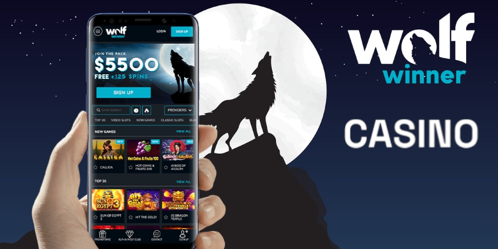 Wolfwinner Casino Review, Registration, and How to Start Playing